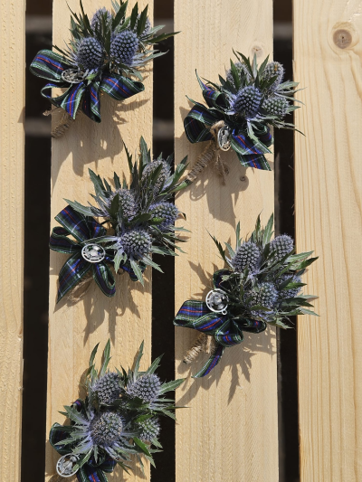 thistle gallery