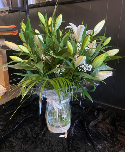 Lovely Lillies - Lovely Lillies