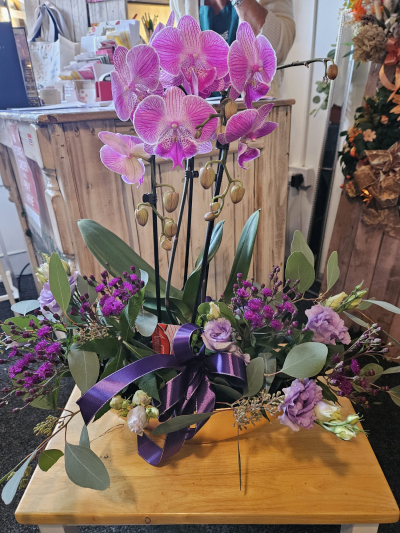 Purple Perfection - An elegant orchid arrangement finished with soft purple details and a luxurious ribbon.